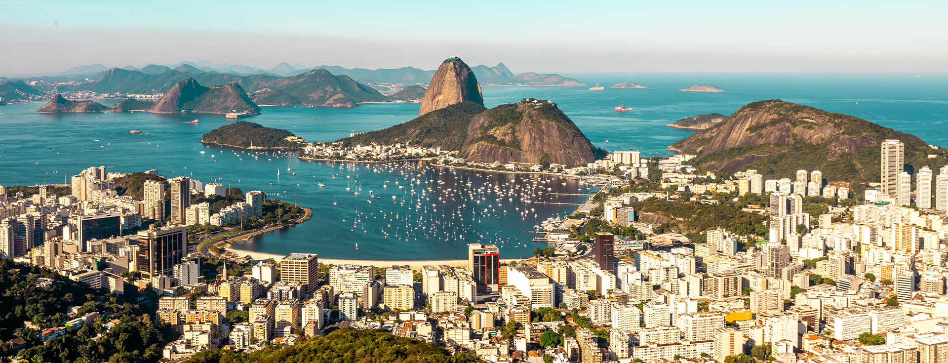 Brazil Banner